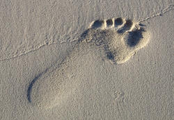 1788     Footprint in the Sand